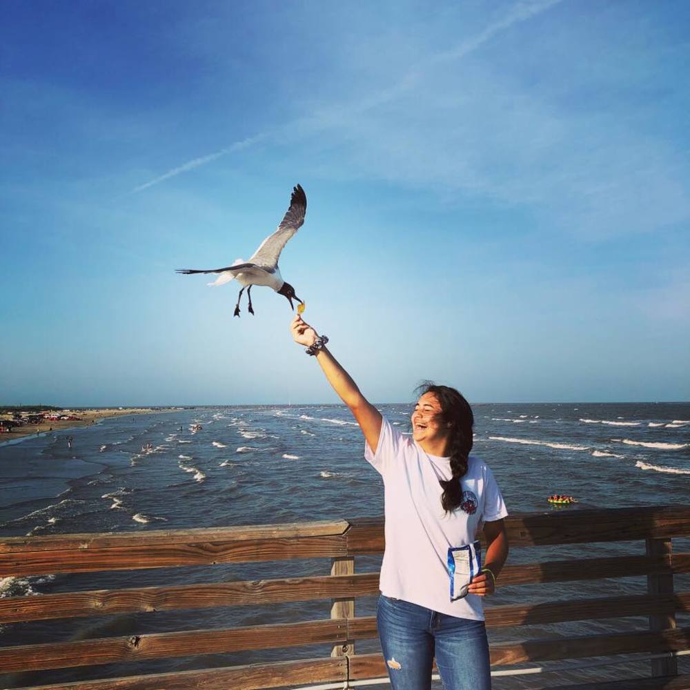 Meet your Posher, Saria